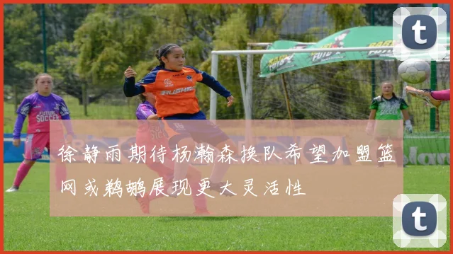 徐静雨期待杨瀚森换队希望加盟篮网或鹈鹕展现更大灵活性