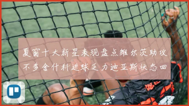 夏窗十大新星表现盘点维尔茨助攻不多舍什科进球乏力迪亚斯状态回暖