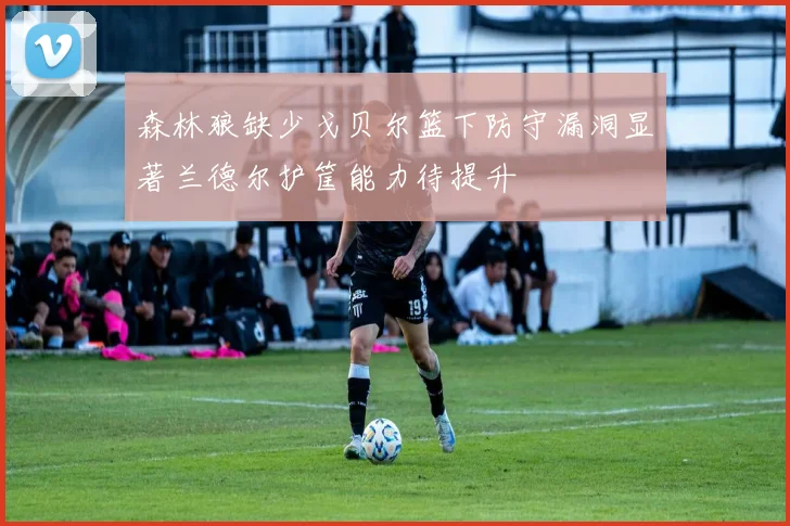 森林狼缺少戈贝尔篮下防守漏洞显著兰德尔护筐能力待提升