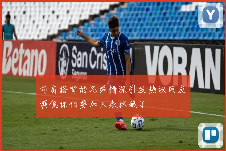 勾肩搭背的兄弟情深引发热议网友调侃你们要加入森林狼了