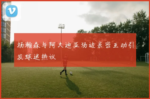 杨瀚森与阿夫迪亚场边亲密互动引发球迷热议
