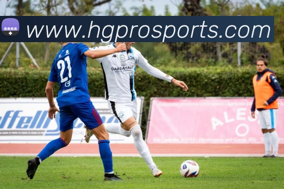 皇冠体育平台生态图